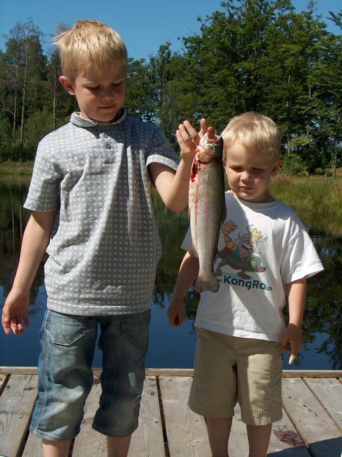 Torne Camping - Kano & Fiskecamp Grimslov Exterior foto